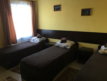 Однокомнатный номер с тремя односпальными (Эконом вариант)