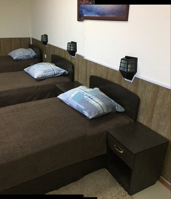 Однокомнатный номер с тремя односпальными кроватями (Стандартный трехместный номер)