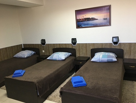 Однокомнатный номер с тремя односпальными кроватями (Стандартный трехместный номер)